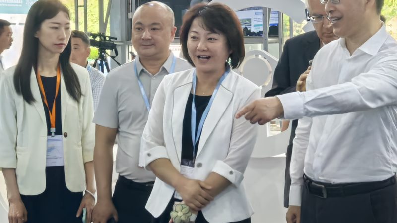 副厂底盘配件，质量可靠吗？揭秘其背后的秘密**